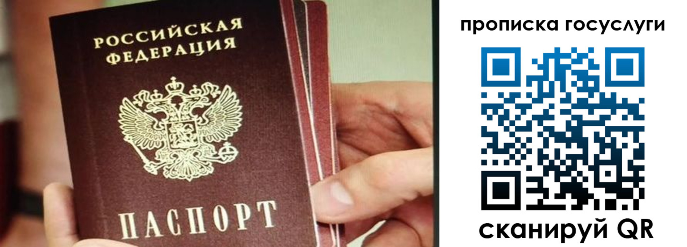 пропишу в квартире в Сергиевом Посаде
